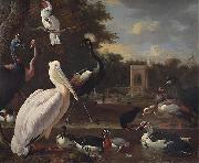 Melchior de Hondecoeter A Pelican and other exotic birds in a park oil painting reproduction